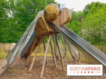 Mission Forêt - IMG 2145