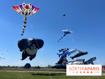 Festival de Cerfs-Volants à la Base 217 - IMG 2220