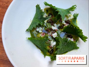 Pantobaguette - Ravioles de shiso ricotta fumée