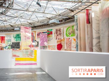 Exposition Disco de Vivan Sutter au Palais de Tokyo - DSC 3065