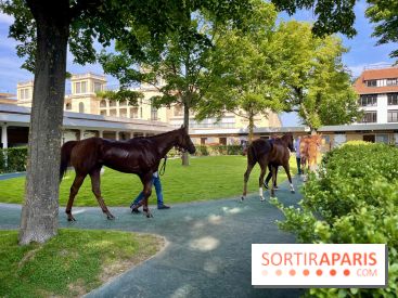 Jeuxdi by Longchamp - chevaux