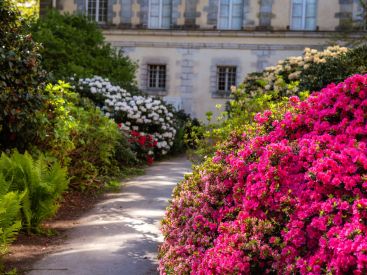 Château de Fontainebleau - jardin du parc du Château de Fontainebleau