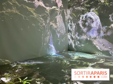 Topologie de l’Eau : Roches, Plantes et Vent