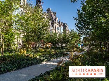 Hôtel de Ville - De Paris à Belem - Forêt Urbaine - Obey  - A7C03311