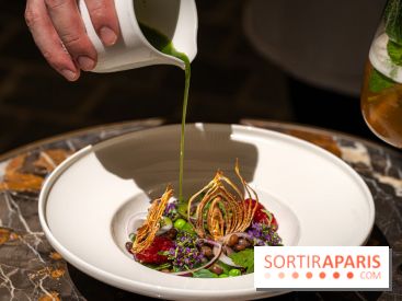 Maison Delano restaurant et terrasse cachée Paris 8e - Jardin des Pois