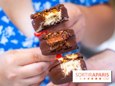 Les bouchées glacées de la Chocolaterie William Artigue, les esquimaux gourmands