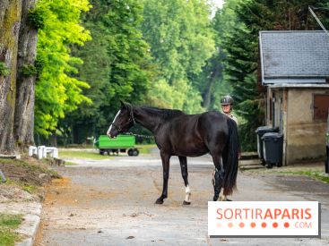 Visite guidée de l'École Mlitaire d'Équitation