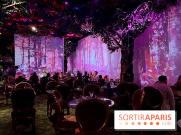 Wonderwoods