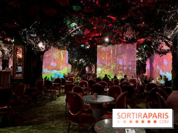 Wonderwoods - IMG 3818