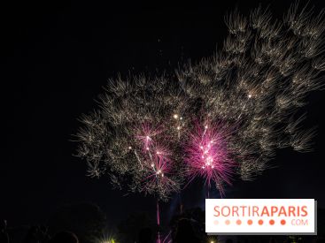Visuels feux d'artifice