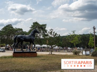 Le Grand Parquet Fontainebleau - photos  - A7C02547