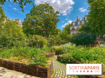 Jardin Médiéval du Musée de Cluny - IMG 3877