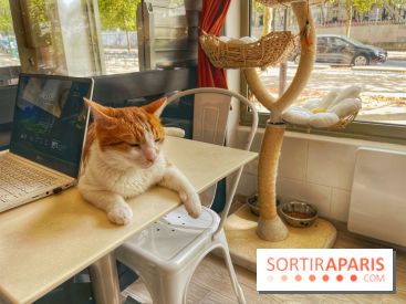 Chat-Rivari Café