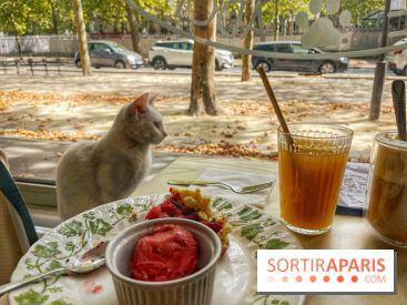 Chat-Rivari Café