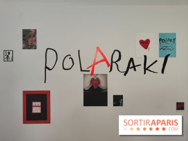 Polaraki, mille polaroids d'Araki Nobuyoshi : l'exposition du musée Guimet se dévoile