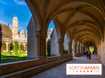 Les spectacles du dimanche de l'Abbaye de Royaumont dans le Val-d'Oise - A7C08374