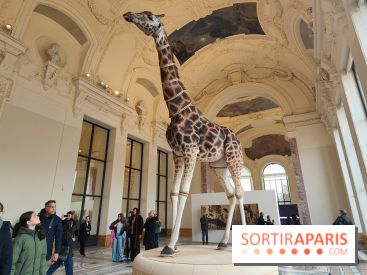 Art Basel 2025 : des installations d'art contemporain originales et gratuites à voir au Petit Palais - fotor 1761044760630