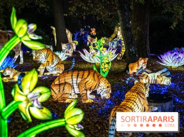 Thoiry Lumières Sauvages 2025 : le Bal des Esprits - A7C09485