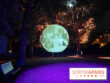 En voie d'illumination : Lumières de la nature : le festival nocturne hivernal du Jardin des Plantes - fotor 1762431759366