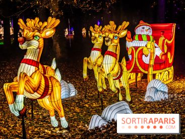 L'Odyssée Lumineuse au Parc Floral 2025, les photos - A7C01845