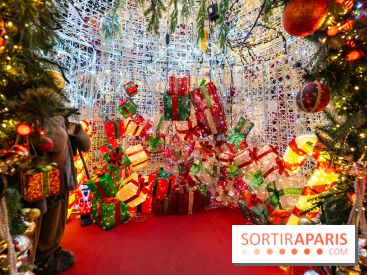 Ce passionné en Essonne transforme son jardin en Village de Noël à visiter gratuitement