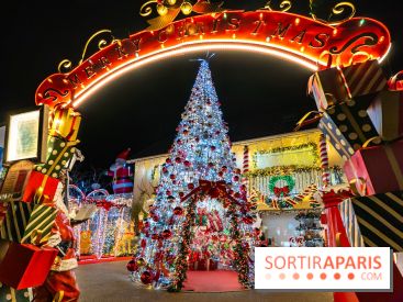 Ce passionné en Essonne transforme son jardin en Village de Noël à visiter gratuitement