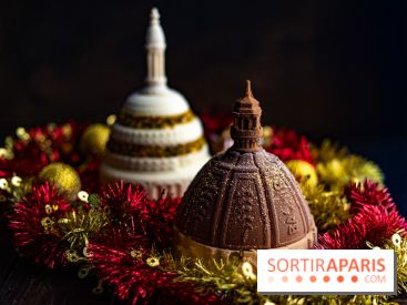 Les bûches de Noël glacées de Bachir spécial dômes parisiens  - A7C03412