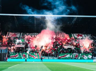 Campagne #36304 - DSC08336