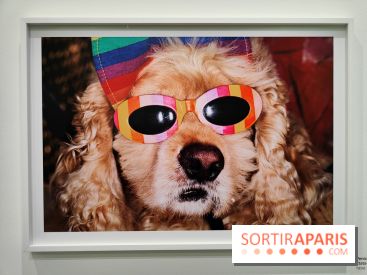 Global Warning : le photographe Martin Parr à l'honneur dans une exposition au Jeu de Paume - fotor 1769689947675