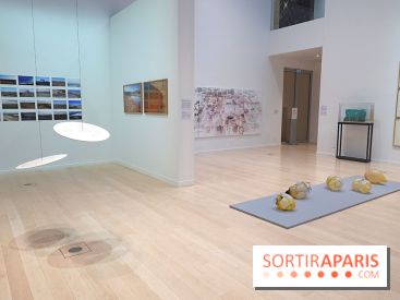 Exposition Contraste et indifférence au Centre culturel canadien - nos photos