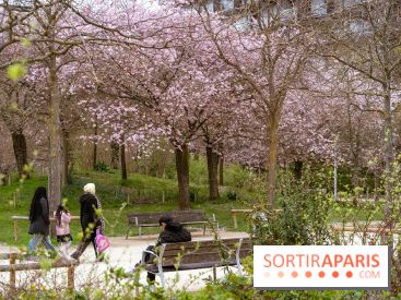 Les cerisiers du parc Martin Luther King - Clichy - Batignoles