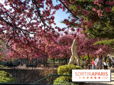 Les pommiers et cerisiers en fleurs du Jardin de Reuilly, Parc de Reuilly à Paris 12e - photos
