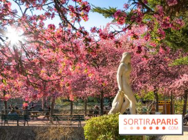 Les pommiers et cerisiers en fleurs du Jardin de Reuilly, Parc de Reuilly à Paris 12e - photos  - visuel