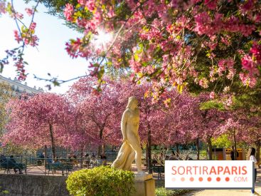 Les pommiers et cerisiers en fleurs du Jardin de Reuilly, Parc de Reuilly à Paris 12e - photos  - visuel