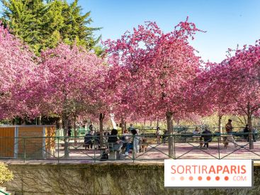 Les pommiers et cerisiers en fleurs du Jardin de Reuilly, Parc de Reuilly à Paris 12e - photos  - table pique nique 