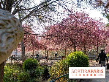 Les pommiers et cerisiers en fleurs du Jardin de Reuilly, Parc de Reuilly à Paris 12e - photos  - A7C09294