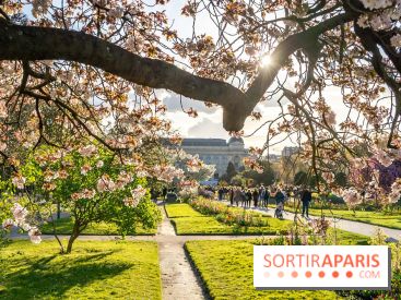 Les floraisons exceptionnelles du Jardin des Plantes 2026 : tulipes, coquelicots et cerisiers - photos - A7C00582