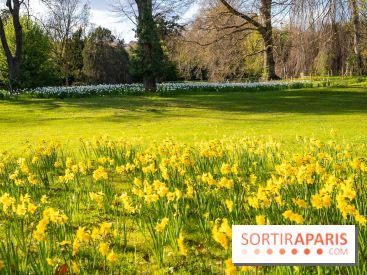 Le Parc de Bagatelle au printemps, cerisier, tulipes et jonquilles - photos