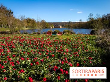 Les tulipes du Château de Dampierre, son jardin anglais et le jardin Le Nôtre - IMG 2850