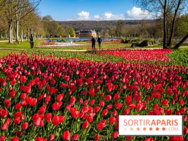 Les tulipes du Château de Dampierre, son jardin anglais et le jardin Le Nôtre