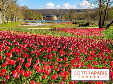Les tulipes du Château de Dampierre, son jardin anglais et le jardin Le Nôtre