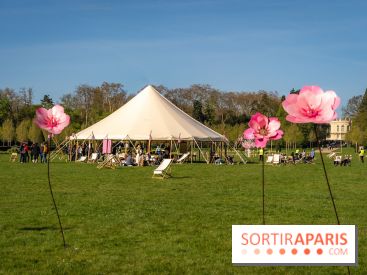 Hanami au Parc de Sceaux 2026, les cerisiers en fleurs et ses  animations - A7C01621