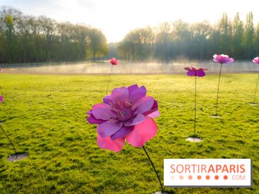 Hanami au Parc de Sceaux 2026, les cerisiers en fleurs et ses  animations