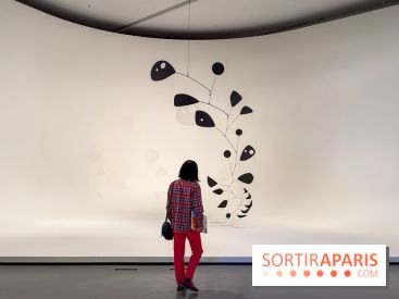 Calder. Rêver en Équilibre : l'exposition retrospective du  - IMG 2716