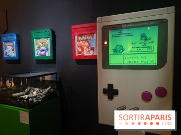 Admirez-les tous, Pokémon à l'honneur dans une exposition ludique et régressive au musée en Herbe