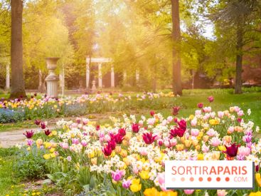 Le Château de Buc et son superbe domaine, parc paysagé aux nombreux trésors - A7C03157 Edit