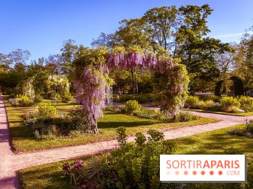 Le Parc des Ibis au Vésinet dans les Yvelines en Région Parisienne - photos  - A7200441