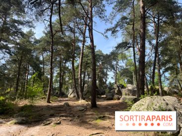 Escalade en Forêt de Fontainebleau - nos photos