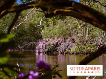 La réserve Naturelle des Etangs de Bonnelles, son pont kiosque, temple de l'amour et ses trésors