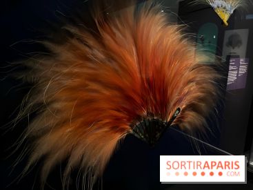 Plumes de Paradis, l'expo au musée du Quai Branly - nos photos